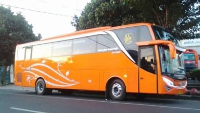 Rental Bus Pariwisata Pemalang