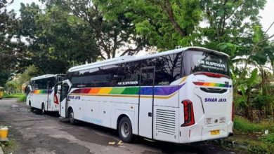 Agen Bus Sinar Jaya Terdekat No Telp Harga Tiket Jadwal Hari Ini